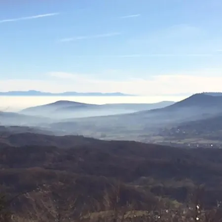 Adélaïde Le Hohwald