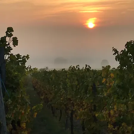 Adélaïde * Le Hohwald