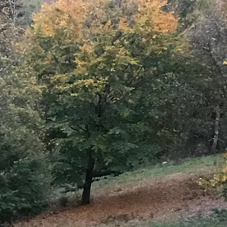 Adélaïde * Le Hohwald